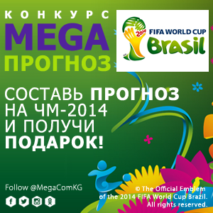 mail.ru_megacom_world_cup_300x300