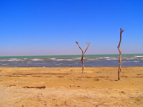 11343_464877103719863_681471139261334934_n