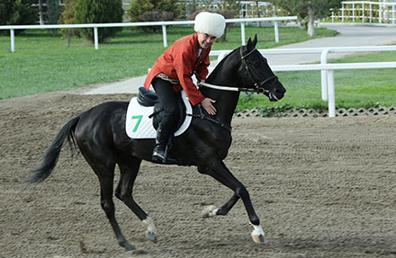 Президент туркменистана на коне