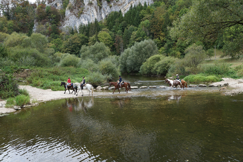 canva-horses,-danube,-water,-ride,-sport,-cross-MACVctKyadY