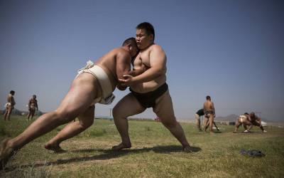 mongolian sumo