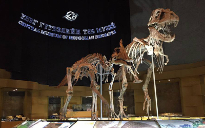 New dinosaur exhibition with 3D models
