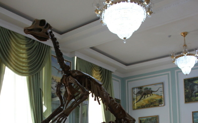 geology museum in Tashkent