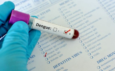 dengue-blood test