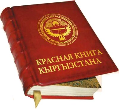 В году выпустят третье издание Красной книги Ростовской области - luchistii-sudak.ru
