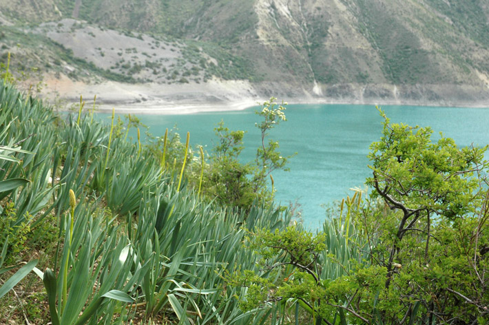 Озеро Кара-Суу, Кыргызстан (13)