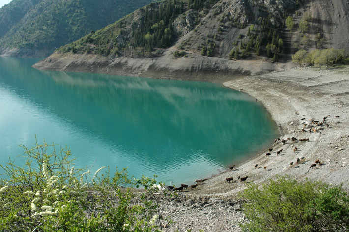 Озеро Кара-Суу, Кыргызстан (11)