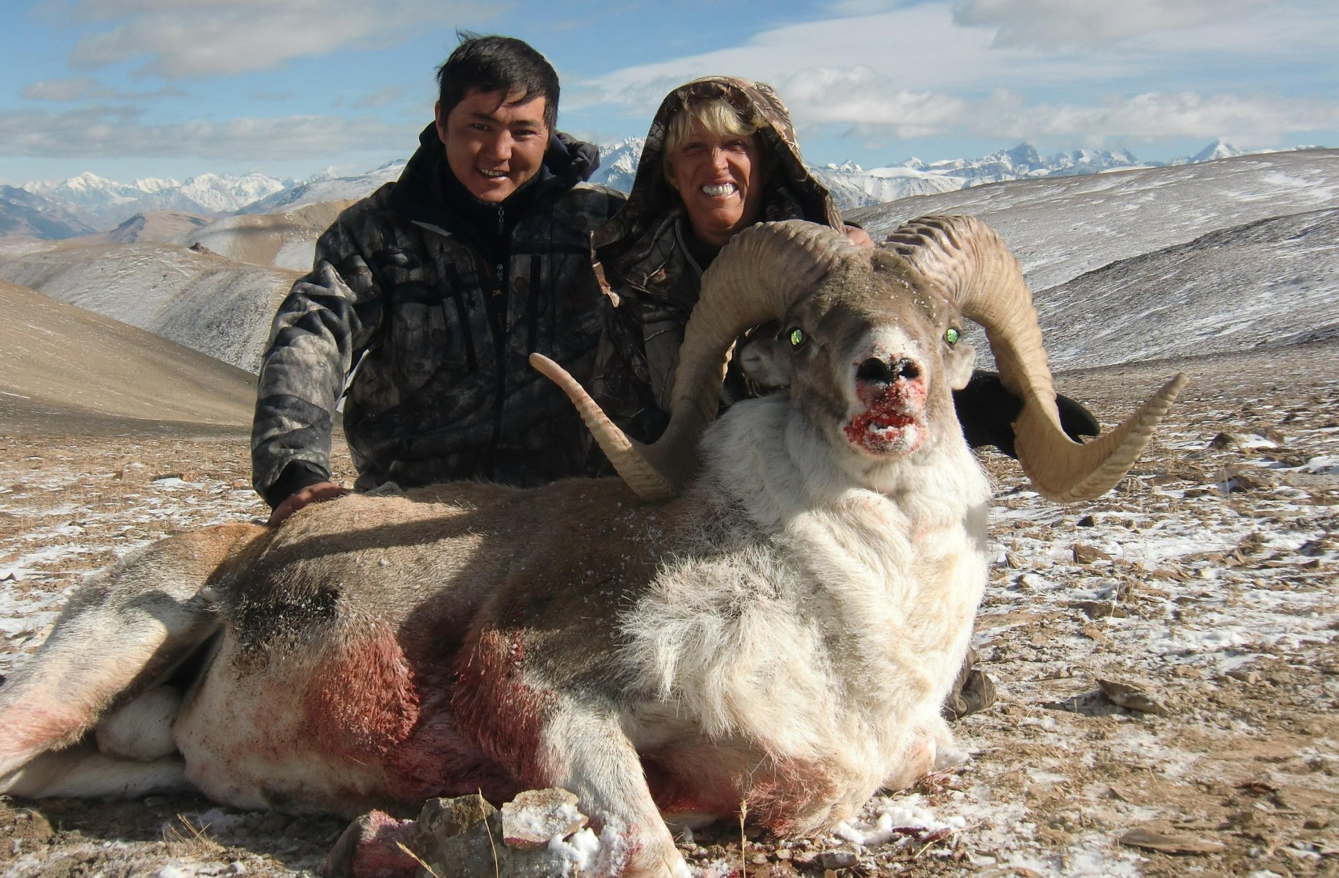 охота на горных баранов в киргизии