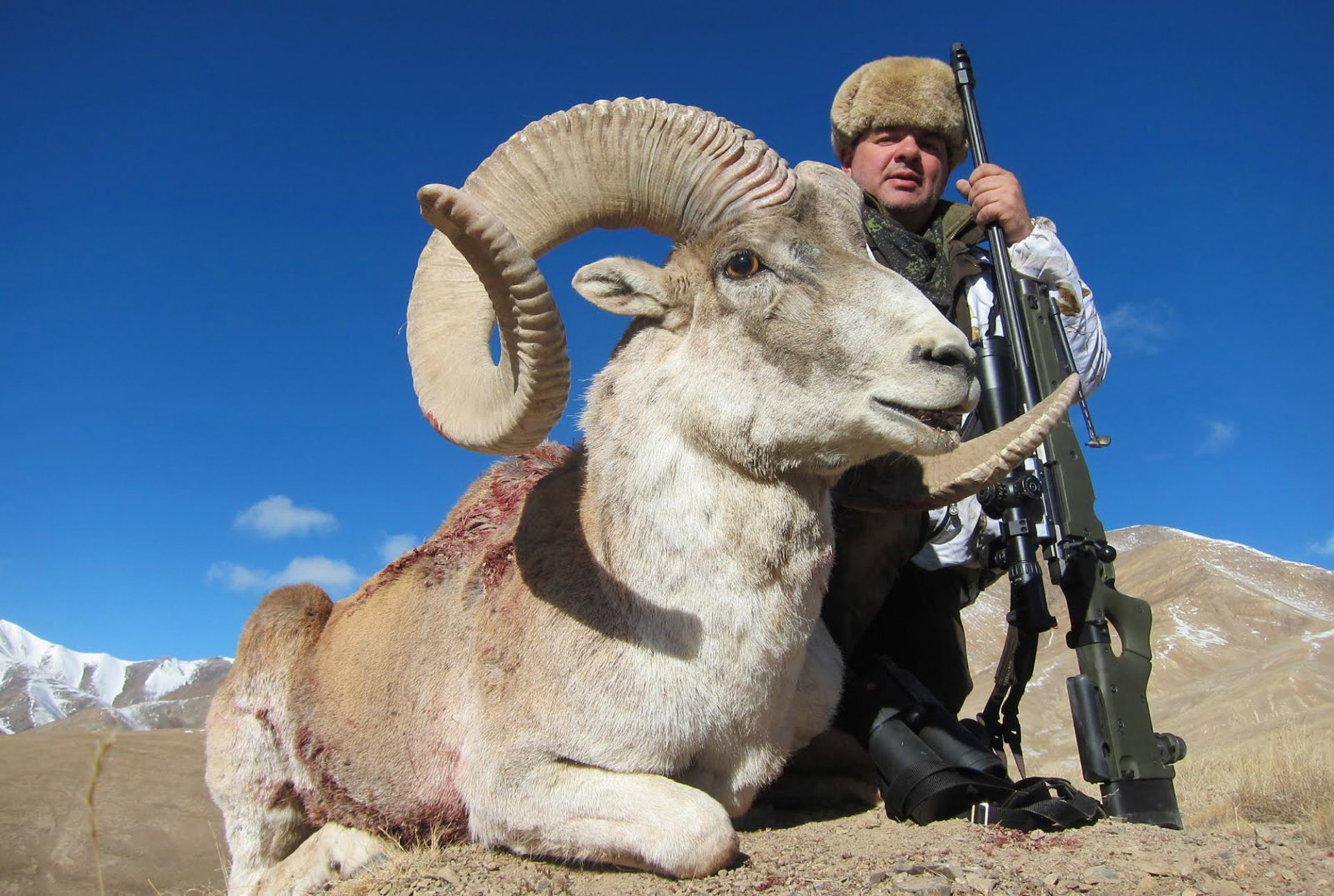 Охота на баранов Марко Поло и козерогов. Кыргызстан