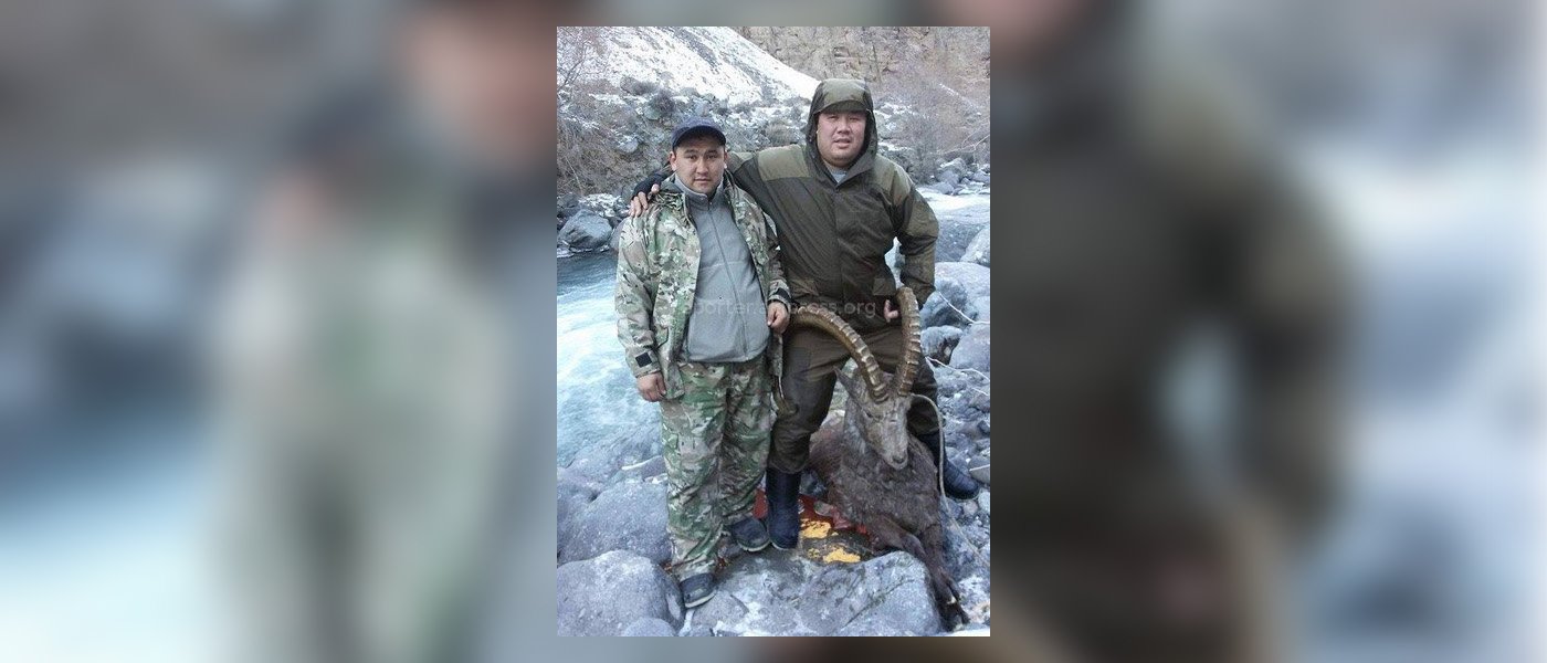 Охота на баранов Марко Поло и козерогов. Кыргызстан