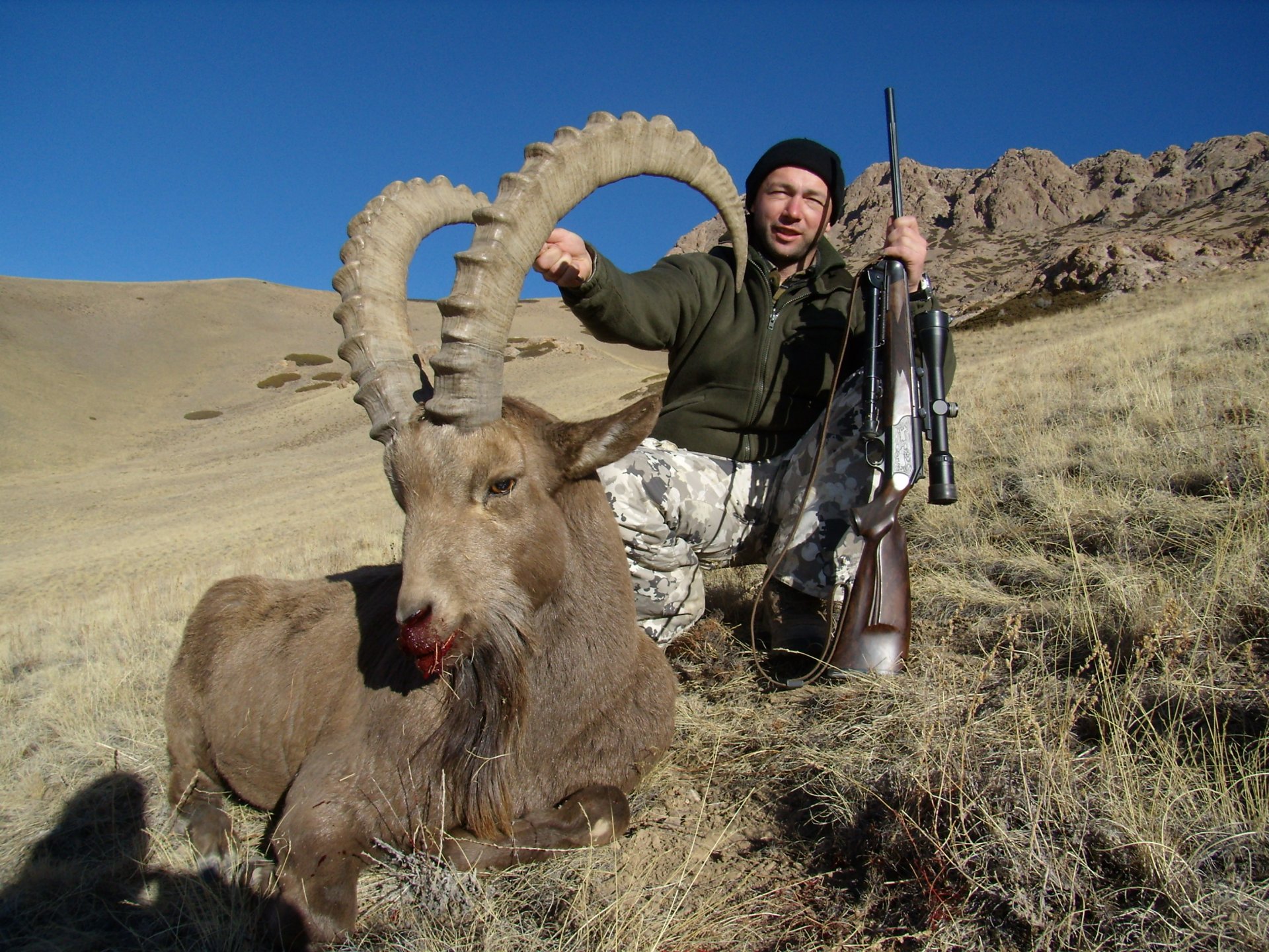 сколько стоит охота в киргизии