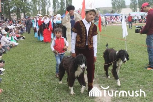 Kyrgyz Shyrdagy festival