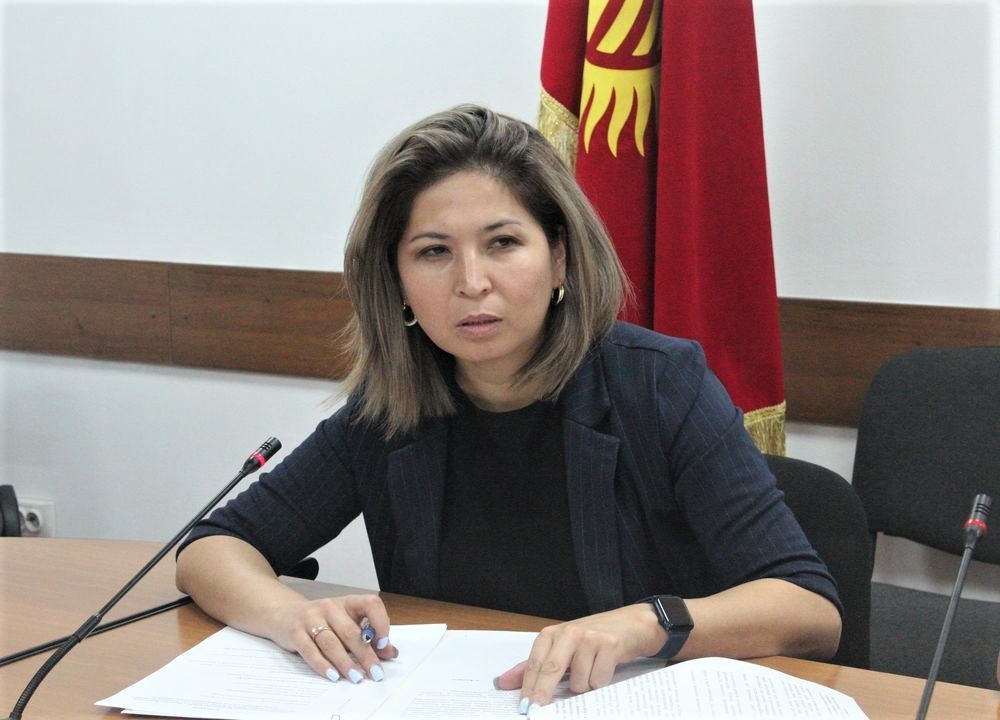 Заместитель министра экономики и коммерции Айнура Усенбекова