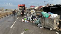 «Тазалык» убрал мусор на Южной магистрали. Фото