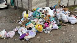 «Как в индийских трущобах». Житель Ак-Орго жалуется на мусор. Фото