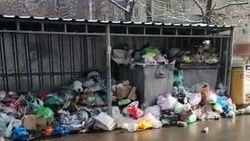 На Ахунбаева третий день не убирают мусор. Видео