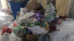 В Октябрьском районе мусор не вывозят с прошлого года. Фото горожанина