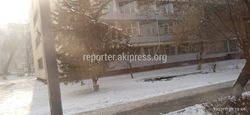 «Бишкекводоканал» остановил утечку питьевой воды возле КНУ, - мэрия