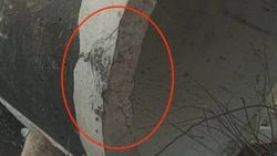 Горожанин жалуется на дефекты канализационных труб, которые устанавливают на Асаналиева. Фото