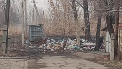 На Тоголок Молдо-БЧК образовалась свалка мусора. Фото