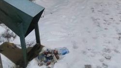 В Бишкеке на Карпинке перевернула урну с мусором. Горожанин жалуется на плохую работу «Тазалыка»
