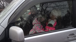 Водитель «Стэпвагона» посадил детей на переднее сиденье и проехал по велодорожке. Фото
