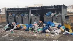 Гора мусора возле ЖК «Фрунзе». Фото