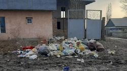Улицы жилгородка Красный строитель завалены мусором. Фото жителей