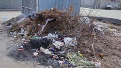 Почему на Шералиева не убирают мусор рядом с мусорной площадкой? Фото