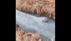 В Иссык-Куль стекает грязная мыльная вода, - житель Джети-Огуза