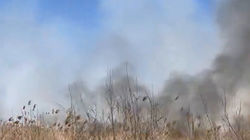 На объездной возле Токмока горит сухотравье. Видео