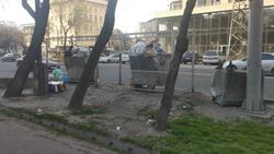 Бишкекчанка жалуется на состояние мусорных баков на Медерова—Элебаева