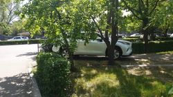 «Хайландер» припарковали на аллее возле поликлиники. Фото
