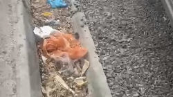 Арык на ул.Беларусской забит мусором и землей. Видео горожанина