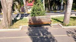 Почему рядом со скамейками на Айтматова нет мусорных урн? - горожанин