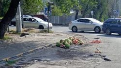 Горожанин жалуется на мусор на ул.Льва Толстого. Фото
