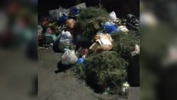Гора мусора на ул.Фирсова, которая лежит с четверга. Видео горожанина