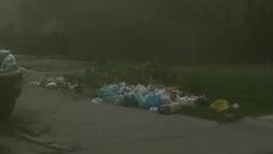 Куда пропали мусорные баки на ул.Чокморова? - горожанин