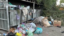 На ул.Луганской не убирают мусор. Фото горожанина