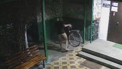 Парень без трусов украл велосипед на ул.Кольбаева. Видео