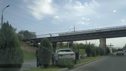 ДТП на Валиханова: Легковушка слетела с дороги, повредив елки. Фото
