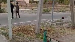 «Бишкекзеленхоз» убрал куст на ул.Анкара, который закрывал обзор водителям. Видео