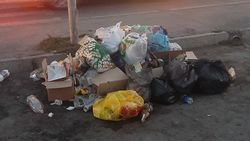 На Гагарина организовали стихийную мусорку. Фото