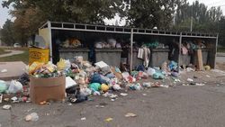 Баки на Валиханова переполнены, мусор валяется на земле. Фото горожанина