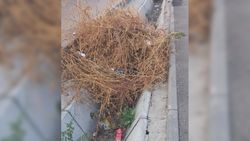 Арыки в Ак-Ордо забиты мусором. Фото