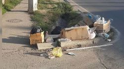 Сотрудники «Тазалыка» уберут мусор на Тимура Фрунзе 40