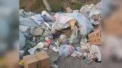 На улице Шуберта в селе Лебединовка в течение месяца не вывозят мусор. Видео