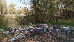 Гора мусора на улице Горького. Фото