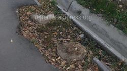 «Бишкекасфальтсервис» заасфальтирует участок тротуара на Панфилова по мере освобождения спецтехники
