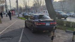Водители продолжают парковаться на тротуаре по Айтматова. Фото
